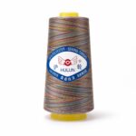 Multicolor thread Rainbow Polyester Thread